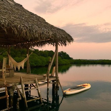 Villa Lima Limon Eco-House à Bocas del Toro Extérieur photo