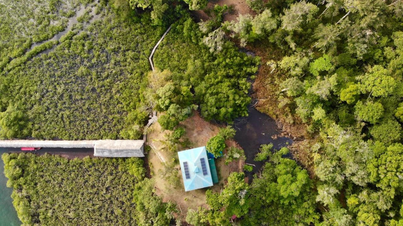 Villa Lima Limon Eco-House à Bocas del Toro Extérieur photo